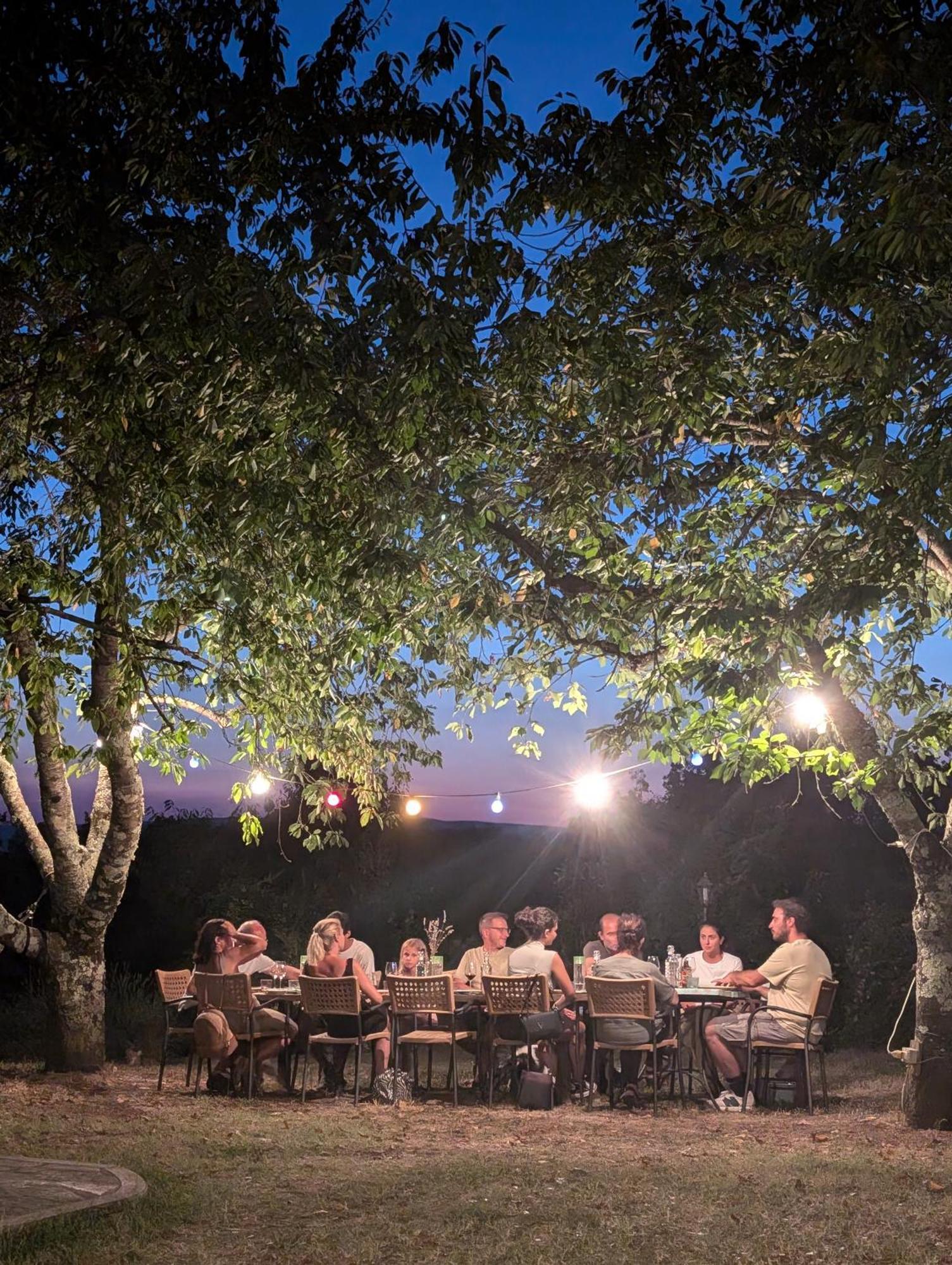 Agriturismo Fattoria Walden Ficulle Ngoại thất bức ảnh